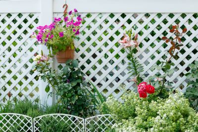 Colorful Vinyl Fence